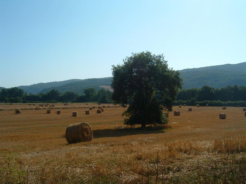 Agriturismo Il Casalino Пари Екстериор снимка
