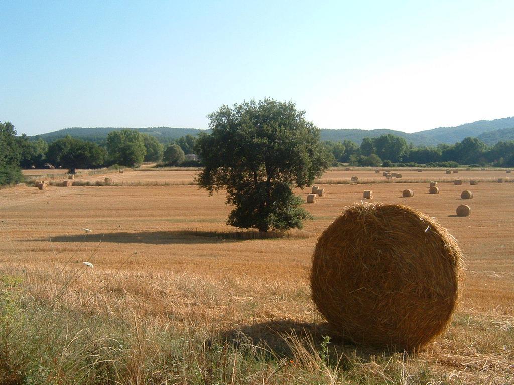 Agriturismo Il Casalino Пари Екстериор снимка