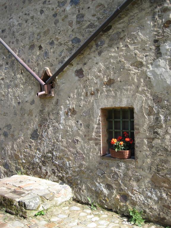 Agriturismo Il Casalino Пари Екстериор снимка