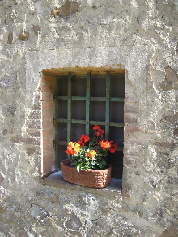 Agriturismo Il Casalino Пари Екстериор снимка