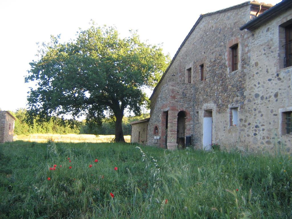 Agriturismo Il Casalino Пари Екстериор снимка