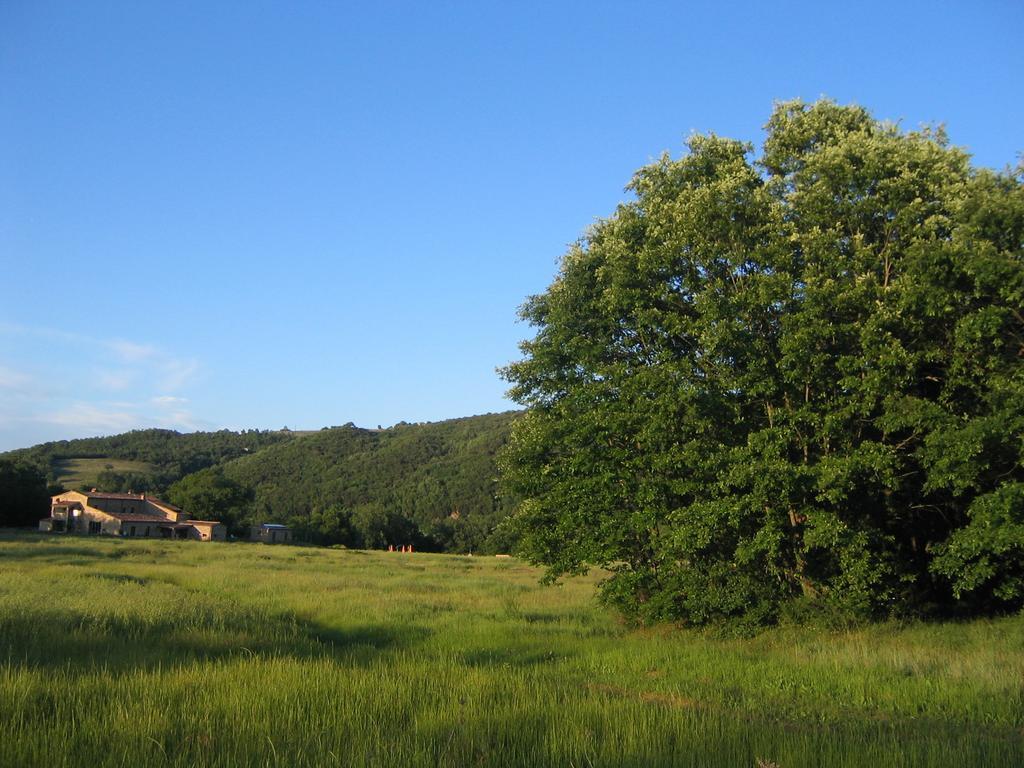 Agriturismo Il Casalino Пари Екстериор снимка