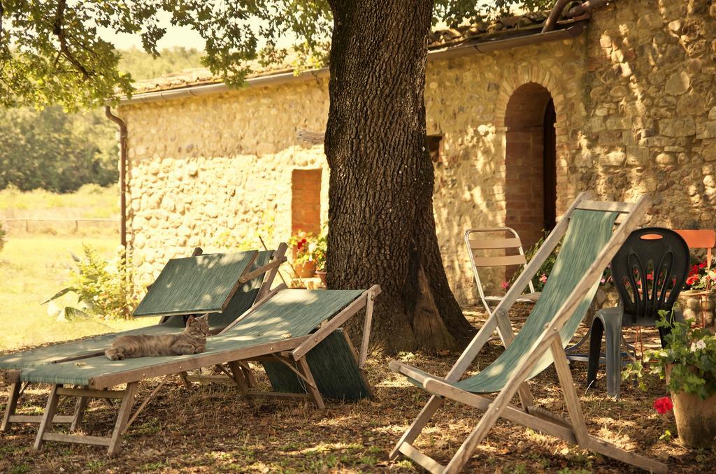 Agriturismo Il Casalino Пари Екстериор снимка